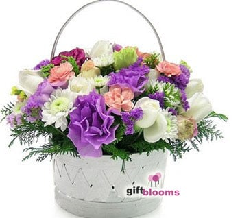 Basket of Beauty to South Korea