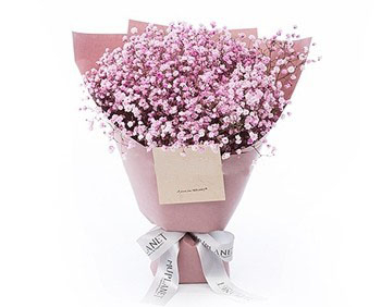 Gypsophila Beauty to Taiwan