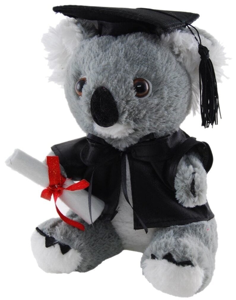Koala Graduation Message Bear With Hat Elka