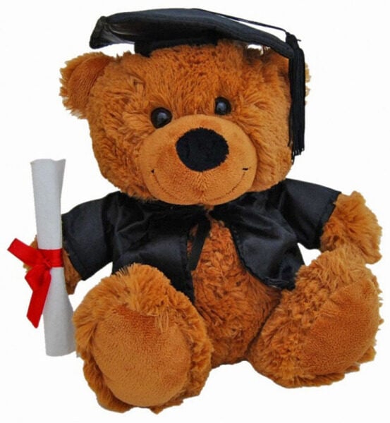 Graduation Teddy Bear Dressed teddy soft plush toy by Elka