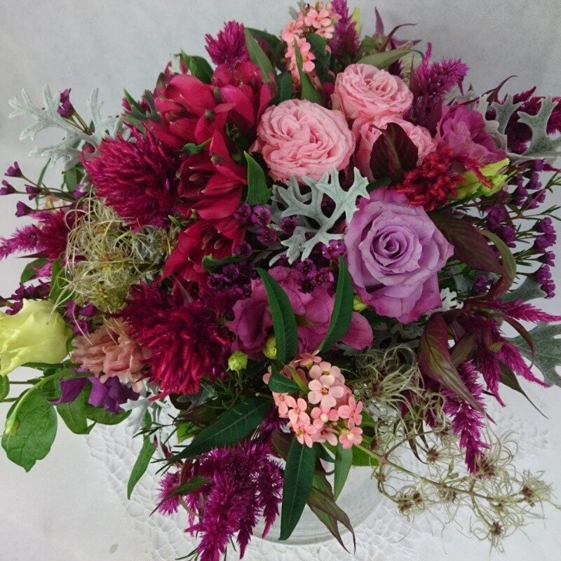 Pink colour blooms