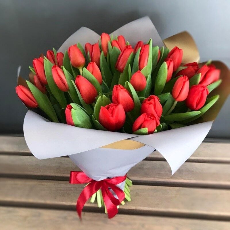 Bouquet of red tulips (Compact)