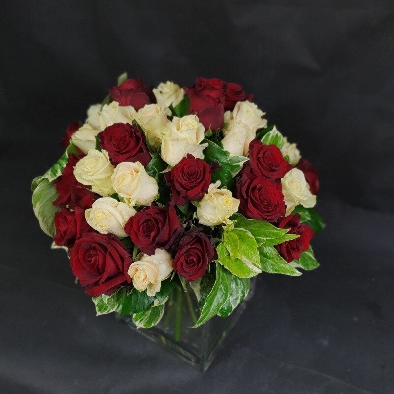 Bouquet of white and red roses (Compact)