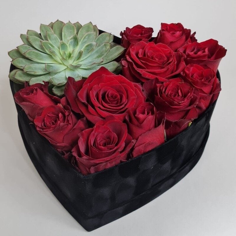 Red heart (Compact)
