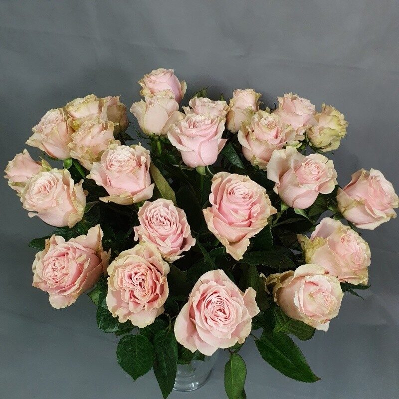 Gentle pink roses 40/60cm (40cm)