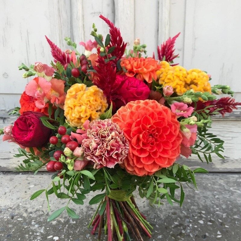 Summer Reds (Compact)