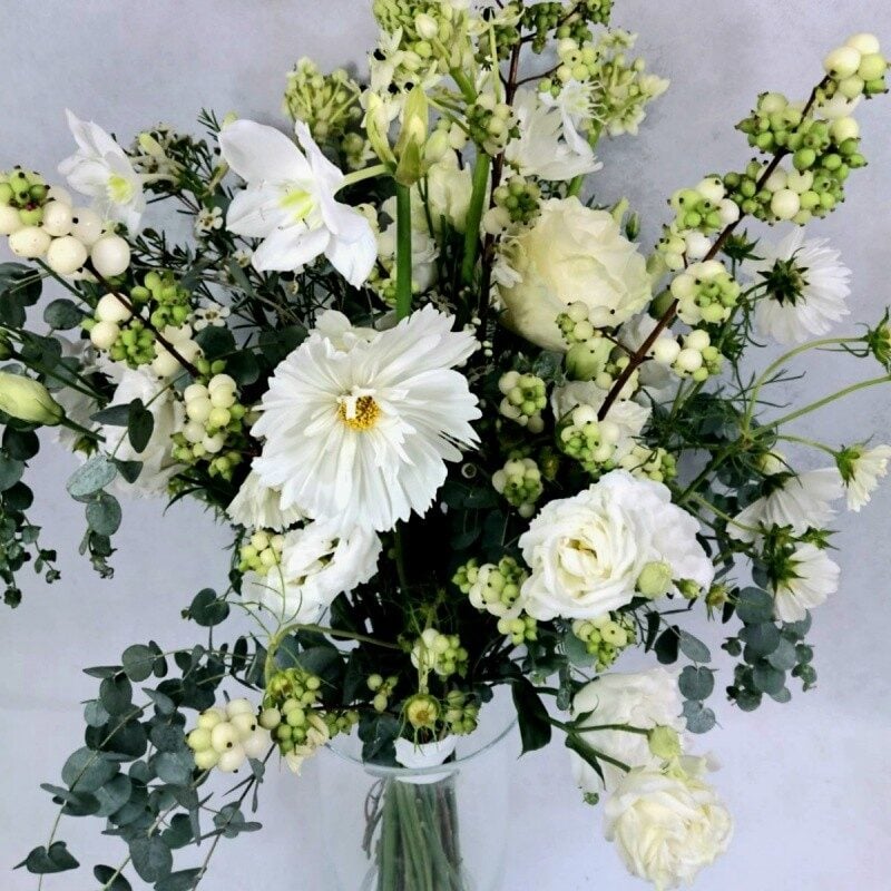 White Thanks (Compact)