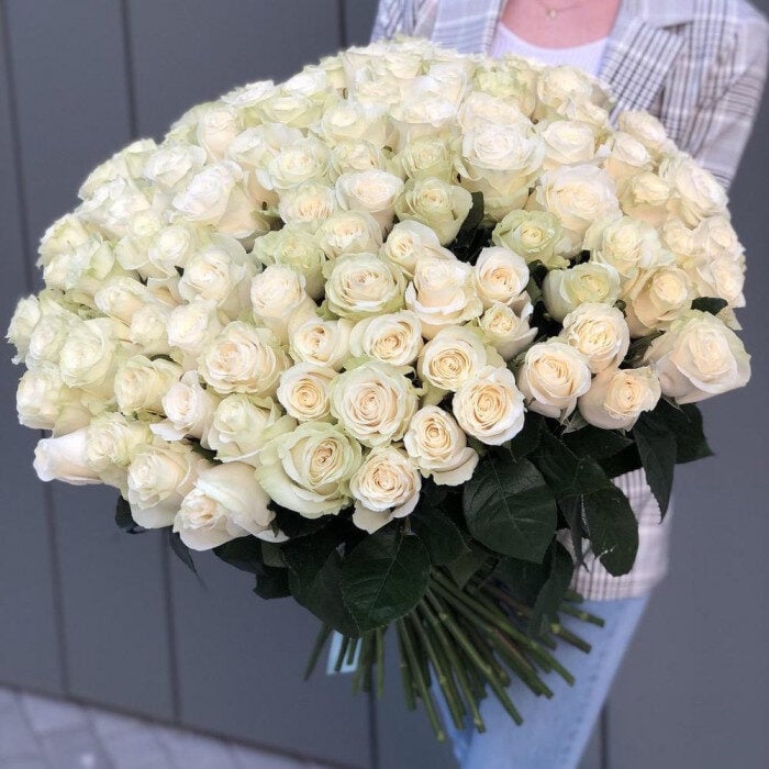 101 White Rose (40 cm)