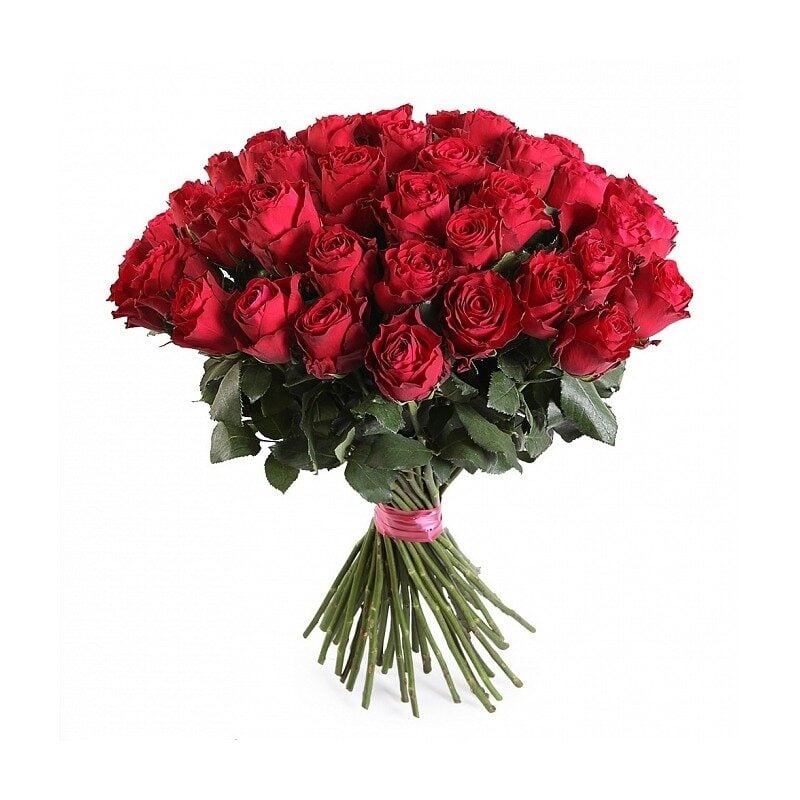 51 red rose