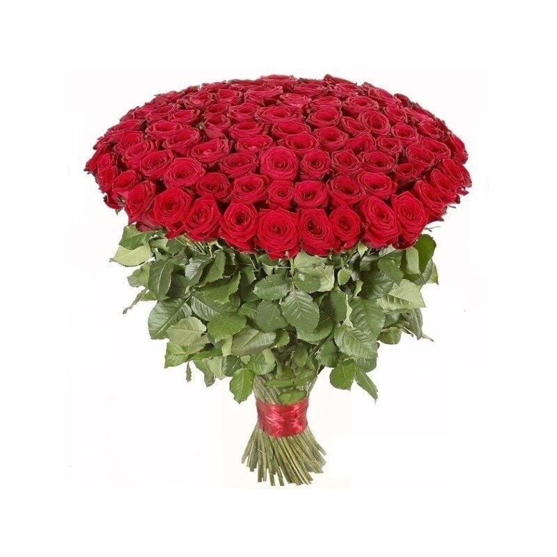 101 red rose