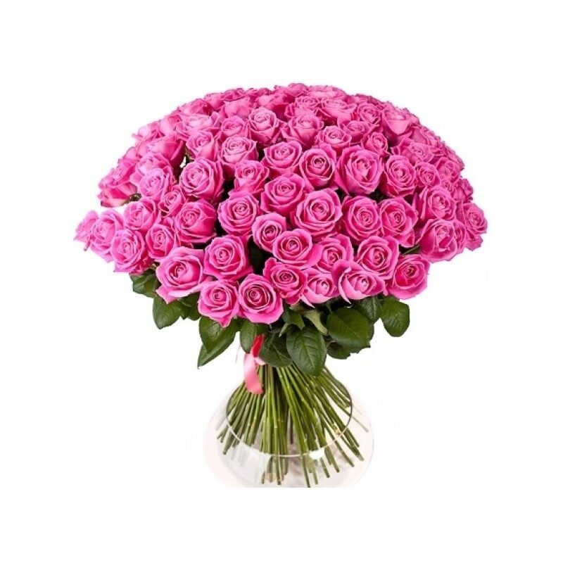 101 pink rose