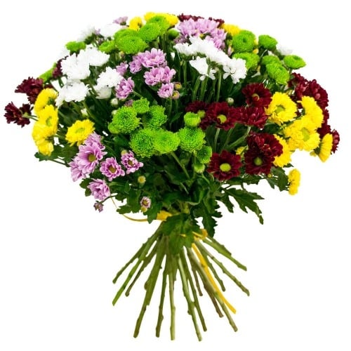 Bouquet of chrysanthemum 25 pcs mix