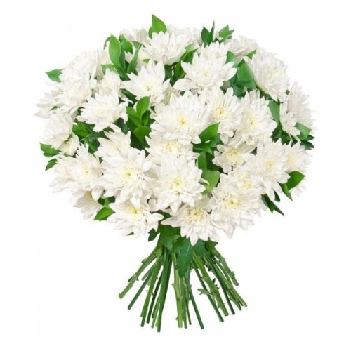 White chrysanthemum spray 15pcs
