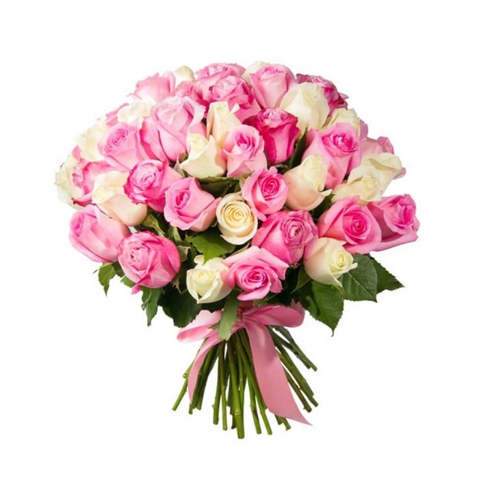 49 Pink & White Roses