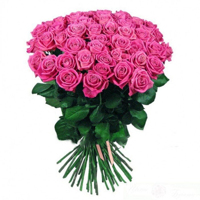 51 Pink Rose (40 cm)