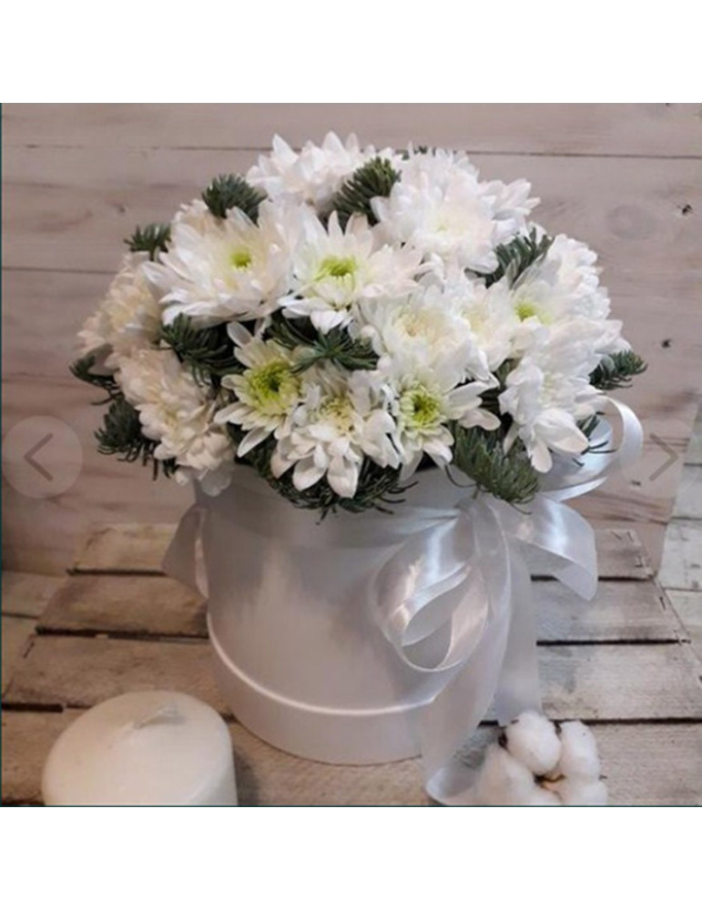 Chrysanthemum In A Box