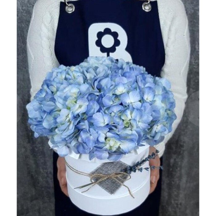 Blue Hydrangeas In Hat Box