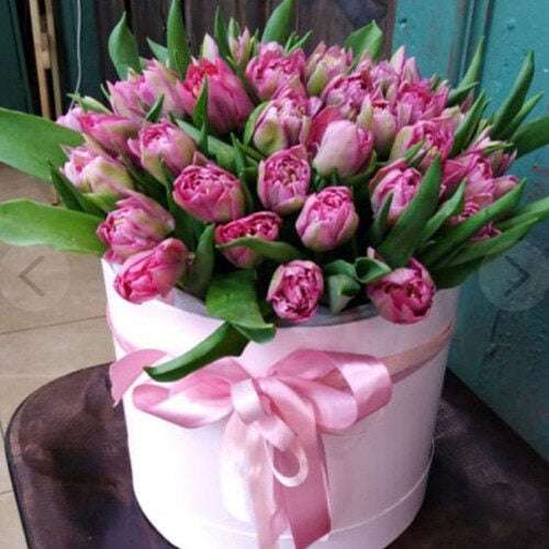 Box with 49 pink Tulips