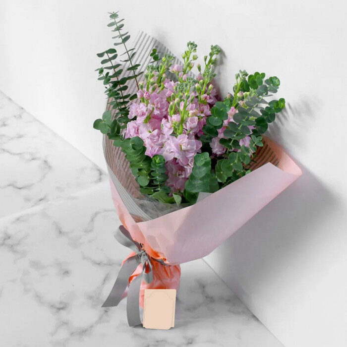 Matthiola Bouquet "ELIS"