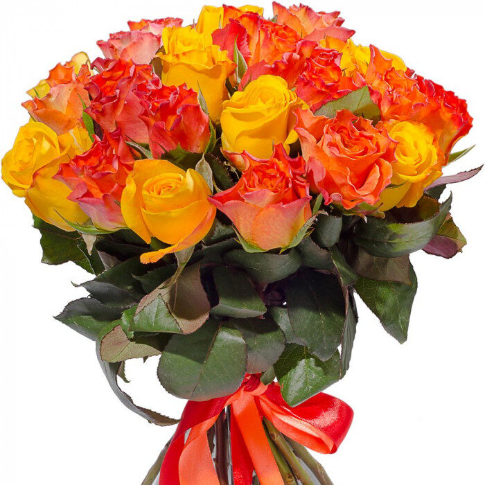 Multicolored Roses "Sunset"