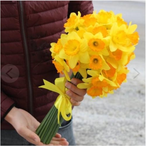 Narcissus bouquet (29 pcs)