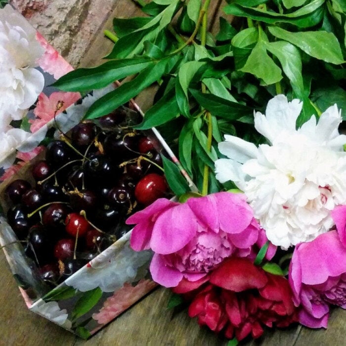 Peonies & Box With Cherries