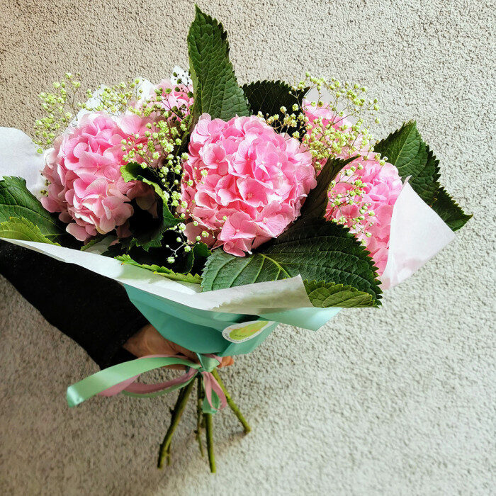 Pink Hydrangeas