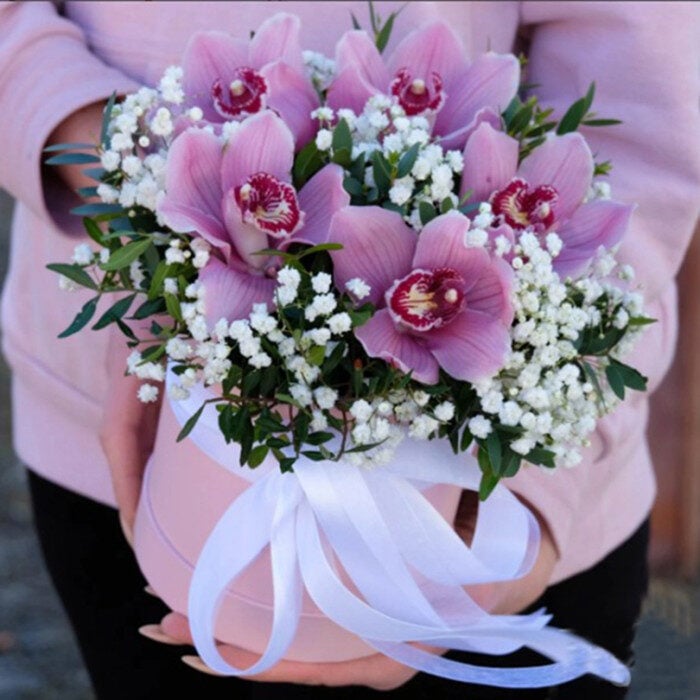 Orchids in hat box "Dream"