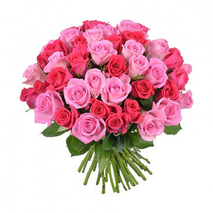 Multicolored Roses "TOKIO"