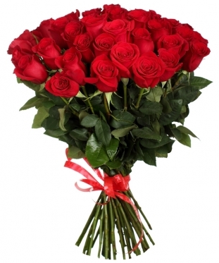 Elite Long Stem Red Roses, From 5 to 101 (5 stems)