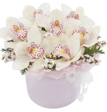 White Orchids Box from 5 to 15 (5 stems)