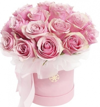 Pink roses at the Hat box (7 stems)