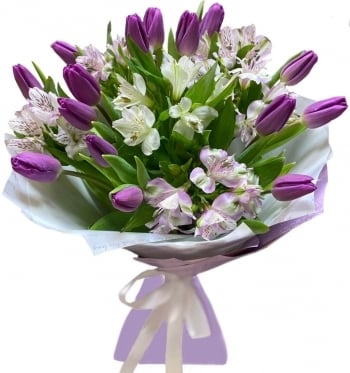 Purple spring - 3 sizes (Small)