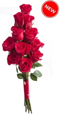 Roses for Men - 10 options (7 stems)