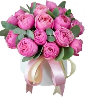 Silva Gorgeous - from 5 to 25 stems (5 stems)