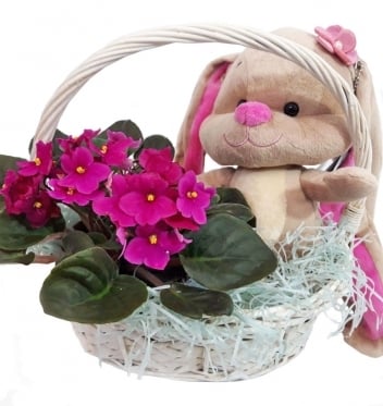 THE HARES CUTE GIFT