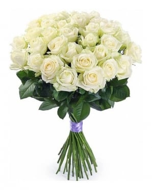 Classic White Roses (7 stems)