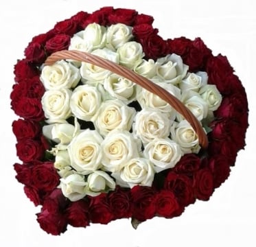 The Love Aura (51 stems)