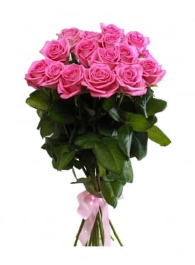 Classic Pink Roses (7 stems)