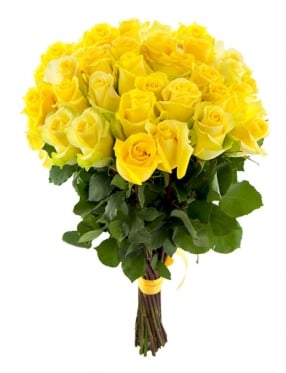 Elite Long Stem Yellow Roses (7 stems)