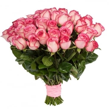 Elite Unique Roses (15 stems)
