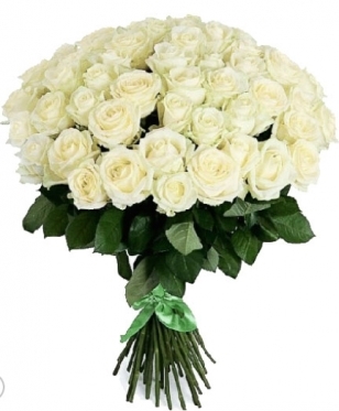 Elite Long Stem White Roses, From 5 to 101 (5 stems)