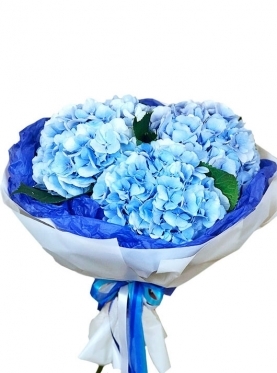 Splendid Blooms (3 stems)