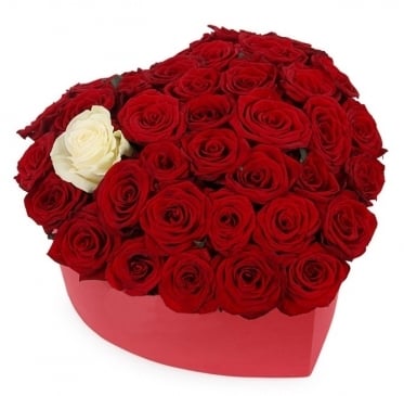 Just Love, from 11 to 51 roses (11 stems)