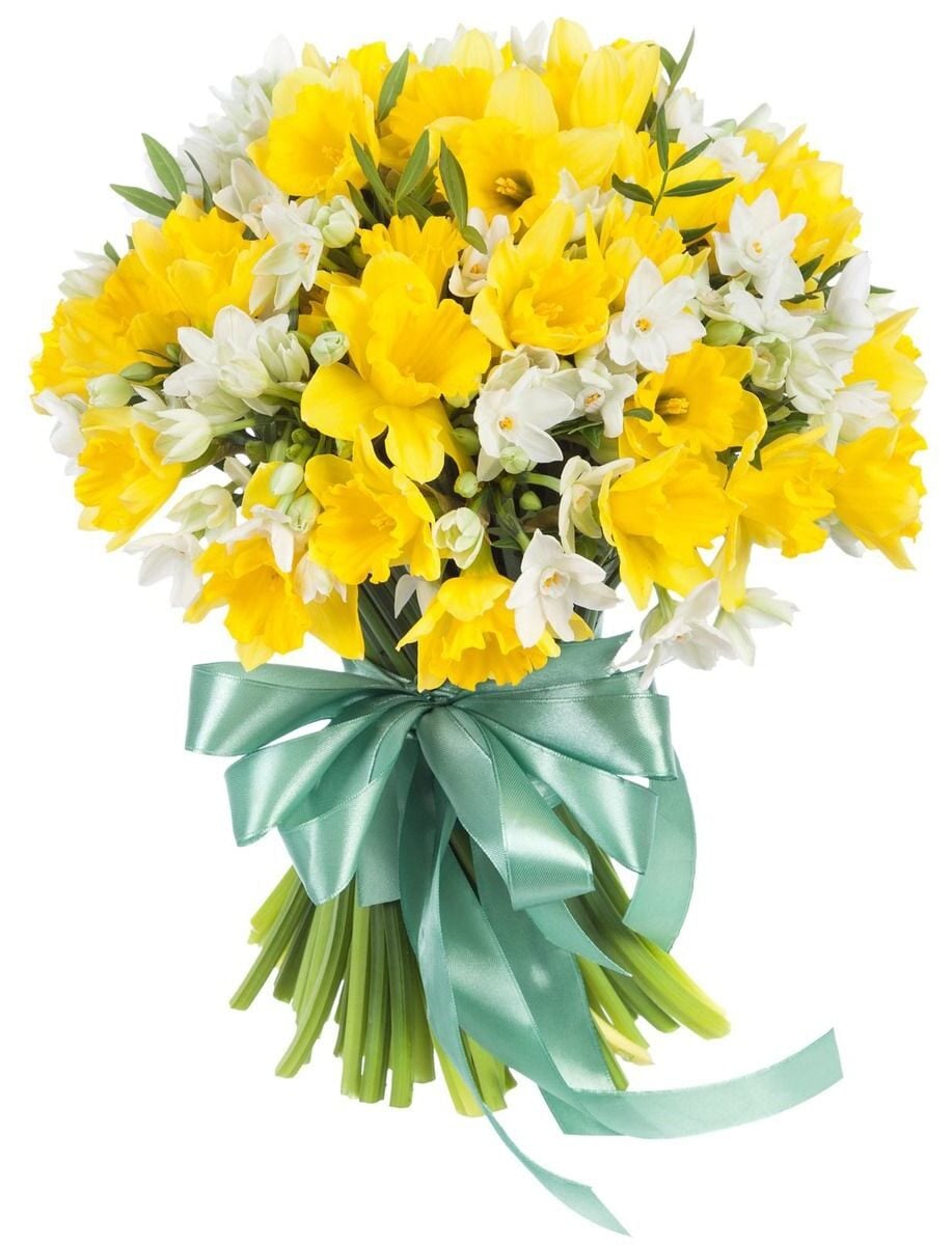 White and Yellow Narcissus