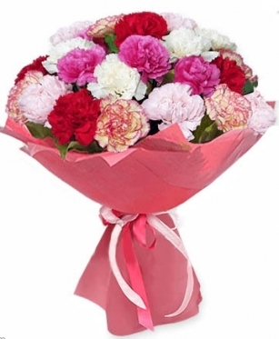 Multicolored Carnations bouquet (21 stems)