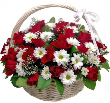 51 Red Roses 50-60 cm at the Basket