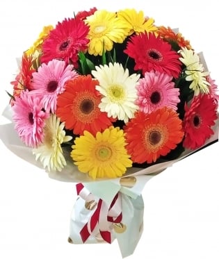 THE SUN (11 stems)