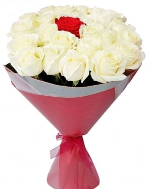 White and Red (7 stems)