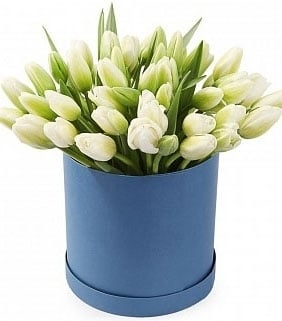 White Tulips at the Hat Box